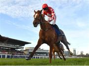 5 February 2023; Pied Piper, with Davy Russell up, during the Chanelle Pharma Irish Champion Hurdle on day two of the Dublin Racing Festival at Leopardstown Racecourse in Dublin. Photo by Seb Daly/Sportsfile