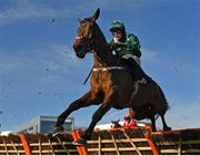 5 February 2023; Sainte Dona, with Bryan Cooper, jumps the last during the Irish Stallion Farms EBF Paddy Mullins Mares Handicap Hurdle on day two of the Dublin Racing Festival at Leopardstown Racecourse in Dublin. Photo by Seb Daly/Sportsfile