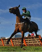 5 February 2023; Sainte Dona, with Bryan Cooper, jumps the last during the Irish Stallion Farms EBF Paddy Mullins Mares Handicap Hurdle on day two of the Dublin Racing Festival at Leopardstown Racecourse in Dublin. Photo by Seb Daly/Sportsfile