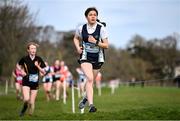 8 February 2023; Clodagh Brady of Loreto High School Beaufort competing in the Junior girls race during the 123.ie Leinster Schools Cross Country 2023 at Santry Demesne in Dublin. Photo by David Fitzgerald/Sportsfile
