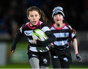 18 February 2023; Action between Old Belvedere and Navan during the Bank of Ireland Half-Time Minis at the United Rugby Championship match between Leinster and Dragons at RDS Arena in Dublin. Photo by Harry Murphy/Sportsfile