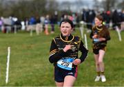 22 February 2023; Molly Geoghegan of HRC Mountbellew in Galway competes in the minor girls event during the 123.ie Connacht Schools’ Cross Country Championships at Bushfield in Loughrea, Galway. Photo by Piaras Ó Mídheach/Sportsfile
