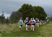 22 February 2023; Participants in the senior girls event during the 123.ie Connacht Schools’ Cross Country Championships at Bushfield in Loughrea, Galway. Photo by Piaras Ó Mídheach/Sportsfile