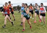 22 February 2023; Ciara Farrissey of J&M Salerno Galway, 252, competes in the senior girls event during the 123.ie Connacht Schools’ Cross Country Championships at Bushfield in Loughrea, Galway. Photo by Piaras Ó Mídheach/Sportsfile