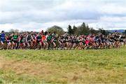 22 February 2023; Participants at the start of the junior girls event during the 123.ie Connacht Schools’ Cross Country Championships at Bushfield in Loughrea, Galway. Photo by Piaras Ó Mídheach/Sportsfile
