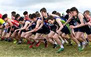 22 February 2023; Participants at the start of the intermediate boys event during the 123.ie Connacht Schools’ Cross Country Championships at Bushfield in Loughrea, Galway. Photo by Piaras Ó Mídheach/Sportsfile