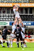 25 February 2023; Nick Timoney of Ulster wins possession in a lineout during the United Rugby Championship match between Cell C Sharks and Ulster at HollywoodBets Kings Park in Durban, South Africa. Photo by Darren Stewart/Sportsfile