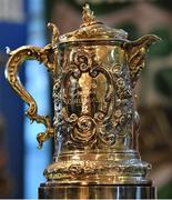 26 February 2023; A general view of the trophy during the Bank of Ireland Leinster Rugby provincial towns cup third round draw at Naas RFC in Naas, Kildare. Photo by Tyler Miller/Sportsfile