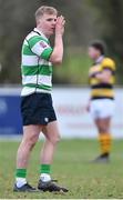 26 February 2023; Jack Sheridan of Naas RFC during the Bank of Ireland Leinster Rugby Provincial Towns Cup Second Round match between Naas RFC and Newbridge RFC at Naas RFC in Naas, Kildare. Photo by Tyler Miller/Sportsfile