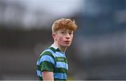 28 February 2023; Ruairí Philips of St Gerard's during the Bank of Ireland Leinster Schools Junior Cup Quarter Final match between St Gerard’s School and Blackrock College at Energia Park in Dublin. Photo by Ben McShane/Sportsfile