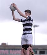 2 March 2023; Harry Goslin of Belvedere College wins possession in a lineout during the Bank of Ireland Leinster Schools Junior Cup Quarter Final match between Cistercian College Roscrea and Belvedere College at Energia Park in Dublin. Photo by Giselle O'Donoghue/Sportsfile
