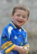 12 June 2004; A young  Wicklow supporter cheers on his team. Bank of Ireland Football Championship Qualifier, Round 1, Wicklow v Derry, County Grounds, Aughrim, Co. Wicklow. Picture credit; David Maher / SPORTSFILE