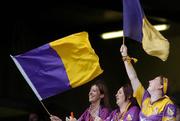 13 June 2004; Wexford fans cheer on their side during the game. Guinness Leinster Senior Hurling Championship Semi-Final, Kilkenny v Wexford, Croke Park, Dublin. Picture credit; Brian Lawless / SPORTSFILE