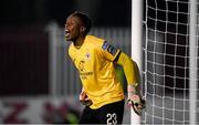 10 March 2023; St Patricks Athletic goalkeeper David Odumosu during the SSE Airtricity Men's Premier Division match between St Patrick's Athletic and Bohemians at Richmond Park in Dublin. Photo by Stephen McCarthy/Sportsfile