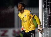 10 March 2023; St Patricks Athletic goalkeeper David Odumosu during the SSE Airtricity Men's Premier Division match between St Patrick's Athletic and Bohemians at Richmond Park in Dublin. Photo by Stephen McCarthy/Sportsfile