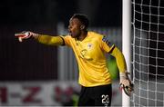 10 March 2023; St Patricks Athletic goalkeeper David Odumosu during the SSE Airtricity Men's Premier Division match between St Patrick's Athletic and Bohemians at Richmond Park in Dublin. Photo by Stephen McCarthy/Sportsfile