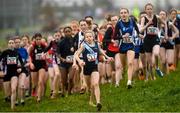 11 March 2023; Freya Renton of Sacred Heart School Westport, Mayo, competing at the start of the minor girls 2000m during the 123.ie All-Ireland Schools Cross Country Championships at SETU Sports Campus in Carriganore, Waterford. Photo by David Fitzgerald/Sportsfile
