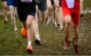 11 March 2023; A general view during the 123.ie All-Ireland Schools Cross Country Championships at SETU Sports Campus in Carriganore, Waterford. Photo by David Fitzgerald/Sportsfile