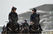 13 March 2023; Jockeys Keith Donoghue, on Delta Work, left, and Robbie Dunne, on Hardline, lead a string of horses from trainer Gordon Elliott to the gallops ahead of the Cheltenham Racing Festival at Prestbury Park in Cheltenham, England. Photo by Seb Daly/Sportsfile