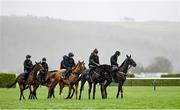 13 March 2023; Horses from trainer Gordon Elliott's string, led by jockeys Robbie Dunne, on Hardline, right, and Keith Donoghue, on Delta Work, on the gallops ahead of the Cheltenham Racing Festival at Prestbury Park in Cheltenham, England. Photo by Seb Daly/Sportsfile