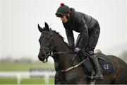 13 March 2023; Delta Work, with Keith Donoghue up, on the gallops ahead of the Cheltenham Racing Festival at Prestbury Park in Cheltenham, England. Photo by Seb Daly/Sportsfile