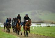13 March 2023; Honeysuckle, with Colman Comerford up, lead trainer Henry de Bromhead's string on the gallops ahead of the Cheltenham Racing Festival at Prestbury Park in Cheltenham, England. Photo by Seb Daly/Sportsfile