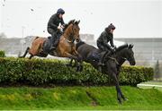 13 March 2023; Galvin, left, with Jody McGarvey up, and Delta Work, right, with Keith Donoghue up, on the gallops ahead of the Cheltenham Racing Festival at Prestbury Park in Cheltenham, England. Photo by Seb Daly/Sportsfile