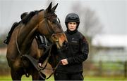 13 March 2023; Jockey Rachael Blackmore and Inthepocket on the gallops ahead of the Cheltenham Racing Festival at Prestbury Park in Cheltenham, England. Photo by Seb Daly/Sportsfile