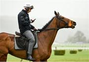 13 March 2023; Jockey Paul Townend and El Fabiolo on the gallops ahead of the Cheltenham Racing Festival at Prestbury Park in Cheltenham, England. Photo by Seb Daly/Sportsfile