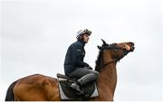 13 March 2023; Jockey Paul Townend and El Fabiolo on the gallops ahead of the Cheltenham Racing Festival at Prestbury Park in Cheltenham, England. Photo by Seb Daly/Sportsfile