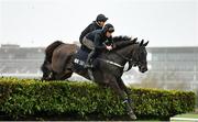 13 March 2023; Hardline, near, with Robbie Dunne up, and Mortal, with Laura Collett up, on the gallops ahead of the Cheltenham Racing Festival at Prestbury Park in Cheltenham, England. Photo by Seb Daly/Sportsfile