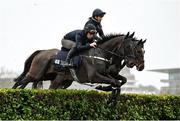 13 March 2023; Hardline, near, with Robbie Dunne up, and Mortal, with Laura Collett up, on the gallops ahead of the Cheltenham Racing Festival at Prestbury Park in Cheltenham, England. Photo by Seb Daly/Sportsfile