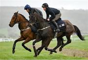 13 March 2023; Hardline, right, with Robbie Dunne up, and Galvin, with Jody McGarvey up, on the gallops ahead of the Cheltenham Racing Festival at Prestbury Park in Cheltenham, England. Photo by Seb Daly/Sportsfile