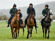 13 March 2023; Horses from trainer Willie Mullins' string, from left, State Man, with Sinead Walsh up, Facile Vega, with David Porter up, and Il Etait Temps, with Quentin Lecouer up, on the gallops ahead of the Cheltenham Racing Festival at Prestbury Park in Cheltenham, England. Photo by Seb Daly/Sportsfile