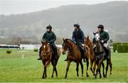 13 March 2023; Horses from trainer Willie Mullins' string, from left, State Man, with Sinead Walsh up, Facile Vega, with David Porter up, and Il Etait Temps, with Quentin Lecouer up, on the gallops ahead of the Cheltenham Racing Festival at Prestbury Park in Cheltenham, England. Photo by Seb Daly/Sportsfile