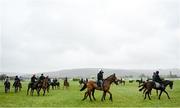 13 March 2023; Horses from trainer Willie Mullins' string on the gallops ahead of the Cheltenham Racing Festival at Prestbury Park in Cheltenham, England. Photo by Seb Daly/Sportsfile