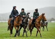 13 March 2023; Horses from trainer Willie Mullins' string, from left, Facile Vega, with David Porter up, Il Etait Temps, with Quentin Lecouer up, and State Man, with Sinead Walsh up, on the gallops ahead of the Cheltenham Racing Festival at Prestbury Park in Cheltenham, England. Photo by Seb Daly/Sportsfile