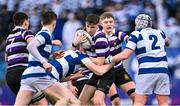 13 March 2023; Niall Fallon of Terenure College during the Bank of Ireland Leinster Schools Junior Cup Semi Final match between Terenure College and Blackrock College at Energia Park in Dublin. Photo by Piaras Ó Mídheach/Sportsfile