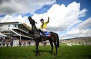 14 March 2023; Jockey Michael O'Sullivan celebrates on Marine Nationale after winning the Sky Bet Supreme Novices' Hurdle during day one of the Cheltenham Racing Festival at Prestbury Park in Cheltenham, England. Photo by Harry Murphy/Sportsfile