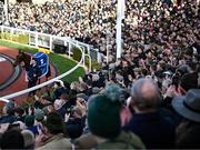 14 March 2023; Groom Colman Comerford parades Honeysuckle after winning the Close Brothers Mares' Hurdle during day one of the Cheltenham Racing Festival at Prestbury Park in Cheltenham, England. Photo by Harry Murphy/Sportsfile