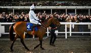 14 March 2023; Jockey Rachael Blackmore celebrates on Honeysuckle after winning the Close Brothers Mares' Hurdle during day one of the Cheltenham Racing Festival at Prestbury Park in Cheltenham, England. Photo by Harry Murphy/Sportsfile