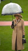15 March 2023; Camilla, Queen Consort, during day two of the Cheltenham Racing Festival at Prestbury Park in Cheltenham, England. Photo by Seb Daly/Sportsfile