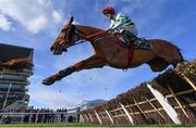 14 March 2023; Zanahiyr, with Davy Russell up, during the Unibet Champion Hurdle Challenge Trophy during day one of the Cheltenham Racing Festival at Prestbury Park in Cheltenham, England. Photo by Seb Daly/Sportsfile