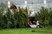 15 March 2023; Jockey Ben Jones is unseated by his mount Francky Du Berlais at the last during the Glenfarclas Cross Country Chase on day two of the Cheltenham Racing Festival at Prestbury Park in Cheltenham, England. Photo by Harry Murphy/Sportsfile