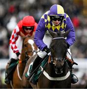 14 March 2023; Malinello, with Gina Andrews up, during day one of the Cheltenham Racing Festival at Prestbury Park in Cheltenham, England. Photo by Harry Murphy/Sportsfile