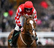 14 March 2023; Chemical Energy, with Jamie Codd up, during day one of the Cheltenham Racing Festival at Prestbury Park in Cheltenham, England. Photo by Harry Murphy/Sportsfile