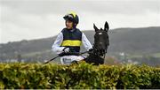15 March 2023; Franco De Port, with Patrick Mullins up, inspect the first fence before the Glenfarclas Cross Country Chase on day two of the Cheltenham Racing Festival at Prestbury Park in Cheltenham, England. Photo by Seb Daly/Sportsfile