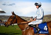 14 March 2023; Jockey Rachael Blackmore and Honeysuckle after winning the Close Brothers Mares' Hurdle during day one of the Cheltenham Racing Festival at Prestbury Park in Cheltenham, England. Photo by Harry Murphy/Sportsfile