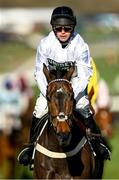 14 March 2023;  Constitution Hill, with Nico de Boinville up, during day one of the Cheltenham Racing Festival at Prestbury Park in Cheltenham, England. Photo by Harry Murphy/Sportsfile