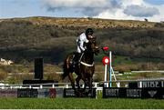 14 March 2023; Constitution Hill, with Nico de Boinville up, on their way to winning the Unibet Champion Hurdle Challenge Trophy during day one of the Cheltenham Racing Festival at Prestbury Park in Cheltenham, England. Photo by Harry Murphy/Sportsfile